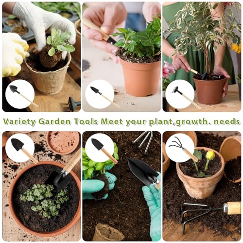 Sibba 6 Pcs Garden Tools Set Mini Miniature Shovel Indoor Succulent Home Tiny Gardening Kit Plant Potted Repotting Flower Wood Handle Care Transplant Accessories Potted Houseplant
