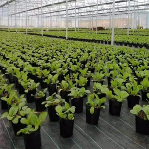 Weed Control Barrier Fabric 100gsm Black Heavy Duty Garden Landscaping Ground Cover Membrane - For Artificial Grass, Patios, Paths, Flower & Beds (4m x 10m)