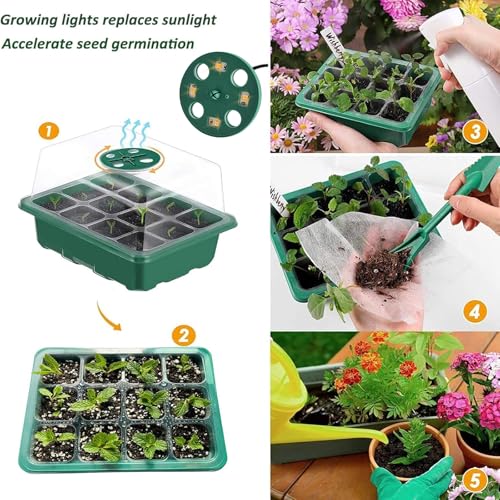 VDYXEW 5 Pack Propagator with Lights, Seed Trays, Seed trays with lids, Mini Greenhouse Propagator kit for Germination Growing