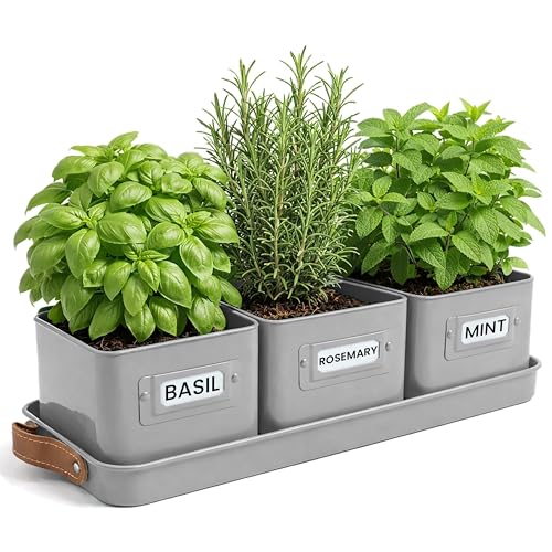 Green Thumbz Set of 3 Kitchen Windowsill Herb Pots