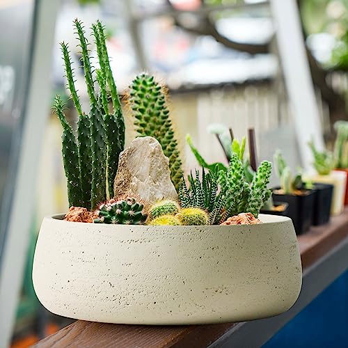 Olly & Rose Ivory Home Decor Ceramic Planter Bowl - Shallow Indoor and Outdoor Plant Pot - Decorative Flower Pot and Garden Bowl (28.5cm)