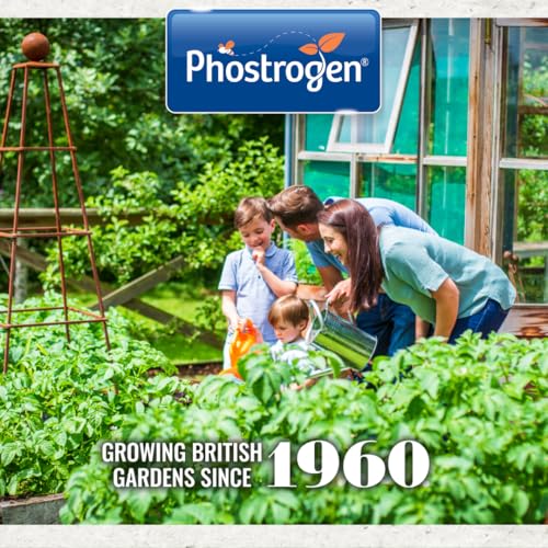 Phostrogen All Purpose Plant Food, 2kg - Plant and Edibles Fertiliser Feed - for Promoting Healthy Growth - Improves Drought Resistance - Plant Nutrition - Indoor and Garden Use