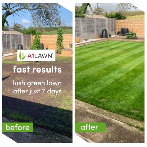 A1 Lawn - Hard Wearing Grass Seed, 5kg (140m2) - UK Resilient, Fast Growing, Fresh, Pet & Child Friendly - Ideal for Patch Repair, Over Seeding, New Lawns & Thickening. DEFRA Approved (AMPRO25)