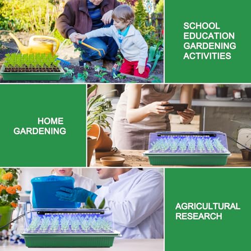 DOUUCO Seed Trays with Grow Light, 2 Pack 80 Cells Propagators Trays with Heightened Lids, Seedling Starter Growing Trays Adjustable Window 2 Meters Timing Controller for Greenhouse Gardens Green