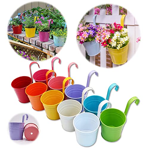 GIOVARA Large Metal Flower Pot Vase Bucket Hanging Garden Planter with Drainage Hole, Balcony Home Decor, Detachable Hook (10 Pcs with Assorted 10 Colours) Multicolor