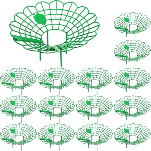 GIONAR Strawberry Plant Supports – Pack of 15