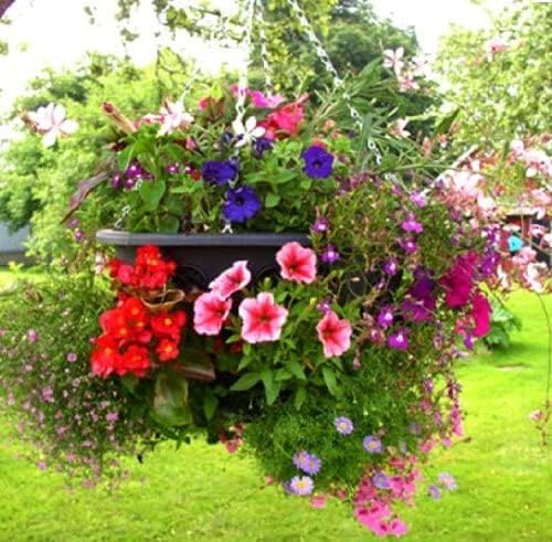 Trendi®Easy Filling Hanging Baskets/Planters Black 15"/ Indoor Outdoor Garden Porch Decoration With Chain 46cm (2 x Hanging Baskets)