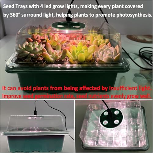 VDYXEW 5 Pack Propagator with Lights, Seed Trays, Seed trays with lids, Mini Greenhouse Propagator kit for Germination Growing