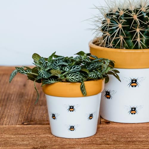 Ivyline Planter, Ceramic, Bumble Bee, 7 x 7cm