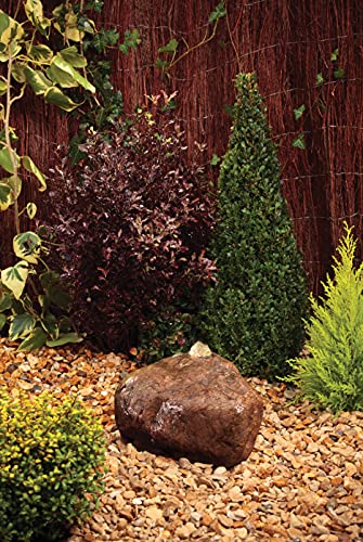 Blagdon Water Feature Pump with Auto Shut Off Sensor Prevents Burnout, Adjustable Flow Control, Reduced Cleaning, 3 Hose Fitting Adaptors, Pumps up to 650 Litres/Hour, Max Pumping Height 1.1m