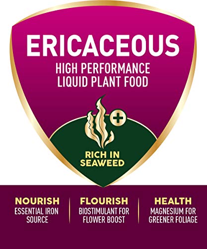 Westland Ericaceous High Performance Liquid Plant Food 1 Litre, Green
