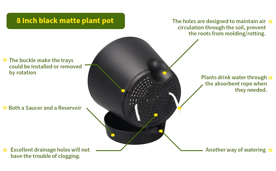 PETAFLOP Plastic Plant Pots 20cm Indoor, 6 Pack 8 Inch Self Watering Plant Pot with Drainage Hole, Saucers, Absorbent Rope and Watering Lip for House Plants, Black