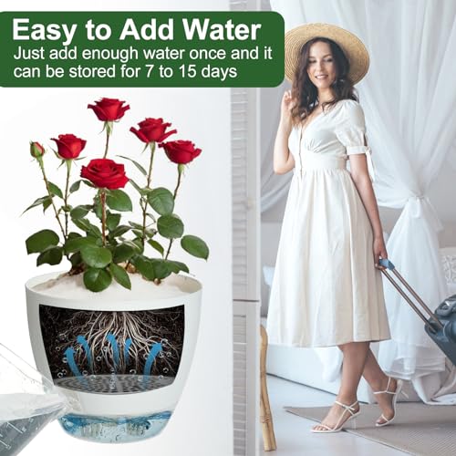 IWTTWY Self Watering Plant Pot Set Pack of 3, 15cm Clear Plastic Flower Pots, Planters for Indoor with Drainage Maintains, Seed Seedling Pots for Orchid, African Violet, Rose, Tulips (White - Clear)