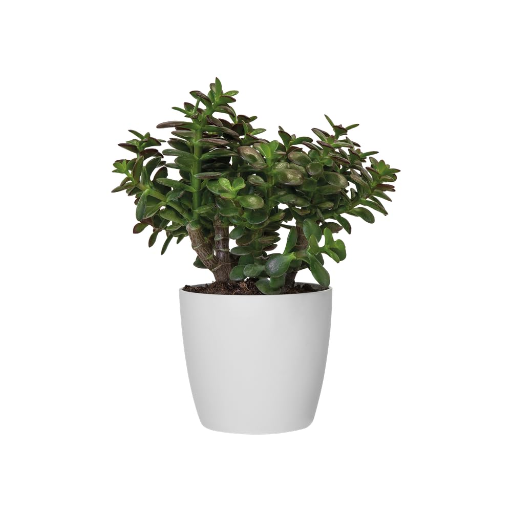 elho Brussels Round 16 - Flower Pot for Indoor - 100% Recycled Plastic - Ø 16.0 x H 14.7 cm - White/White