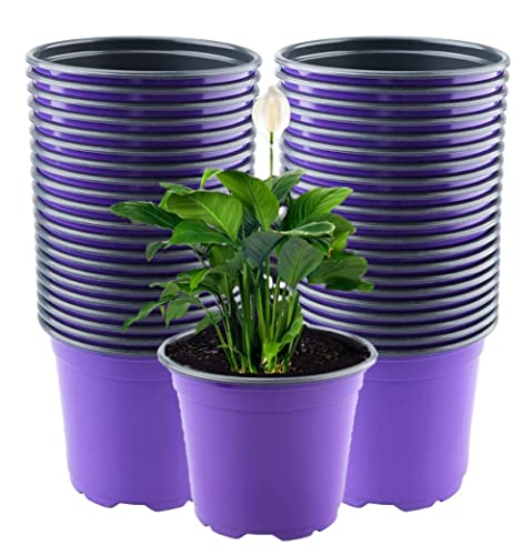 LATERN 50Pcs 15cm Plastic Plant Flower Pots, Purple Lightweight Seed Starting Pots Nursery Seedlings Pots Flower Plant Container (15 x 13cm)