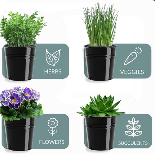 BSTMOME Herb Pot Planter Set with Tray for Indoor Garden Outdoor Use, Decorative Metal Succulent Pots Windowsill Planter Pots Flower Pots for Kitchen Grow (Black)