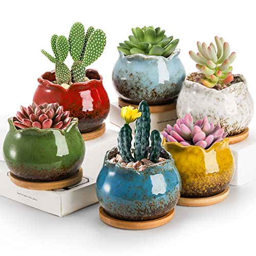 TOPZEA Ceramic Succulent Pots with Saucers – Set of 6