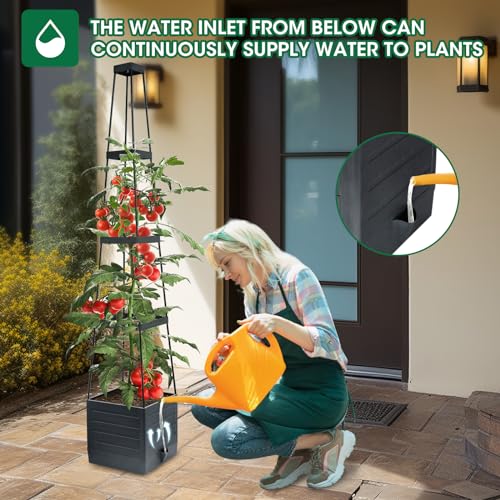 MYMULIKE Raised Garden Bed Planter Box with Trellis, Tomato Cage Planter, Raised Garden Bed with Trellis for Climbing Vegetables Plants Tomato Cage, Self-Watering, Indoor Outdoor Use (2pcs black)