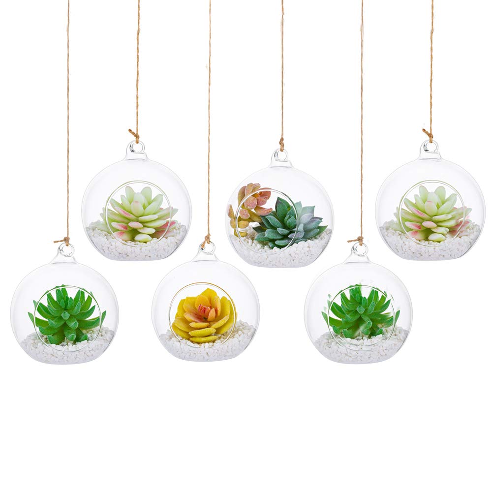 10cm Hanging Glass Globes Terrarium Orbs 6 Pcs Glass Planter Big Opening Air Fern Plants Vase Hanger 4 Inches for Home Party Wedding Garden DIY Design