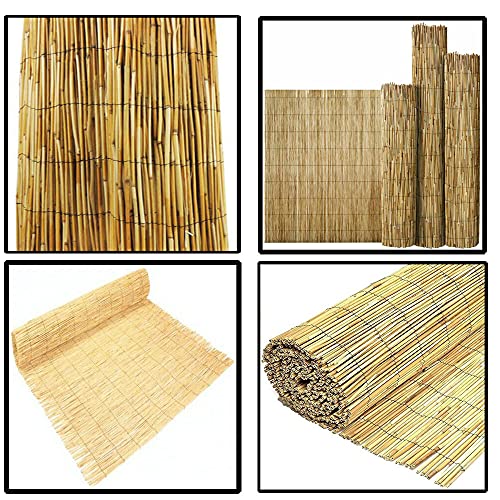 SASONS® Quality Garden Natural Peeled Reed Fence Screen Roll Panel Best for Outdoor Privacy, Fencing Screening Wooden Fence Walls Sun/Wind Protection [ 1 x 4 meter ]