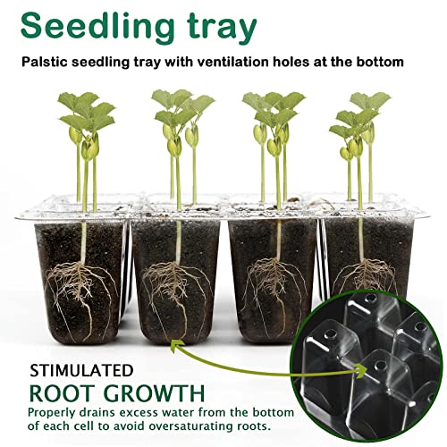 Fox·Bunny Propagator, 3 Pack Propagators for Plants,12-Cell Seed Trays with Lids,Indoor Gardening Kit for Seeds Planting (Green,10 White Labels, 2 Tools)