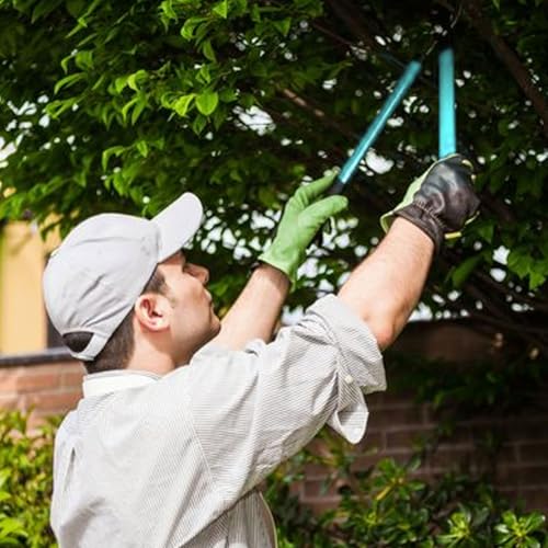 HAISHANG Bypass Loppers, 38cm Branch Lopper with Hardened Steel Blade and Non-Stick Coating, Effortless Garden Tree Trimmer, High-Capacity Tree and Branch Cutter for Efficient Gardening