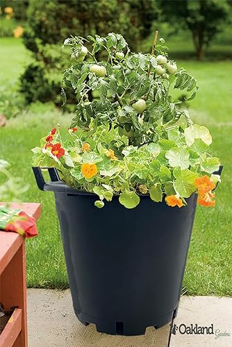 Oakland Gardens 30L Plant Pots Potato Containers Buckets (Pack of 5) Heavy Duty Black Plastic Planters for Outdoor Plants - Large Planter Pots for Gardens - Flowers, Vegetables & Trees