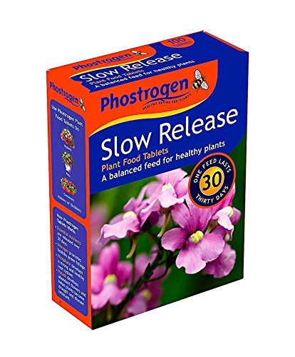 3 PACK Phostrogen Slow Release Food Plant Tablets 300 Tablets - Balanced Feed for Healthy Plants