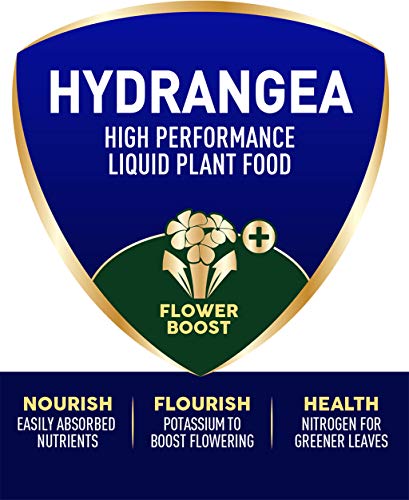 Westland 20100444 Hydrangea High Performance Liquid Plant Food 1 Litre, Green