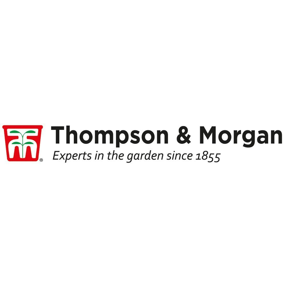 Thompson & Morgan Bloomaround Hanging Basket Garden Planter Plant Container with Water Reservoir for Flowers, Vegetables and Fruits from (30cm, 8 Pack)