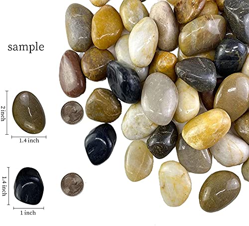Aleker Decorative Pebbles, 2.2lb Natural Small Polished Mixed Stones Gravel for Plant Aquariums, Flowerpot, Landscaping, Ponds,Terrariums Vase Fillers, DIY, Home Garden Decoration(Approx.0.5-1.2 inch)