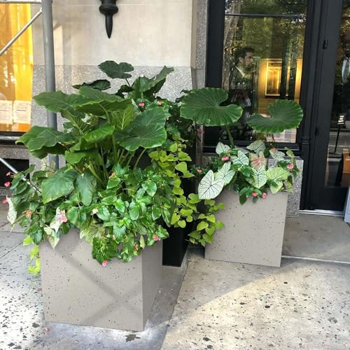 IDEALIST 50cm Large Square Planter for Trees | Grey Marble Effect Reinforced Stone Flower Pot with Drainage Holes L50 W50 H50.5 cm, 92 litres