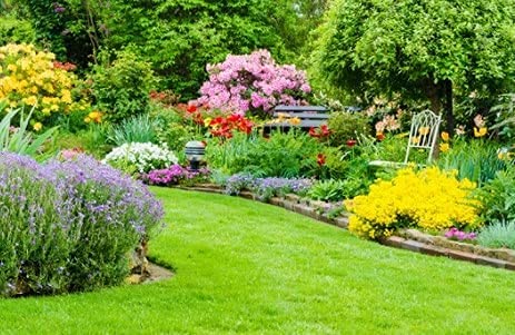 Multi-Mite 10 Ltr Liquid Seaweed – 100% Natural & Organic Concentrate Cold Pressed Plant Feed & Soil Fertiliser, Trees Lawn Veg & House Plants Root or Foliar Feeding