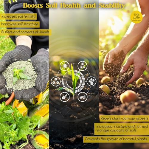 Renaissance Organic Plant Food - All Purpose Fertilizer for Outdoor & Indoor Gardening - Fertiliser Booster for Houseplants, Vegetables, Fruit Trees, Industrial Crops, Legumes | 3.62 kg Bag