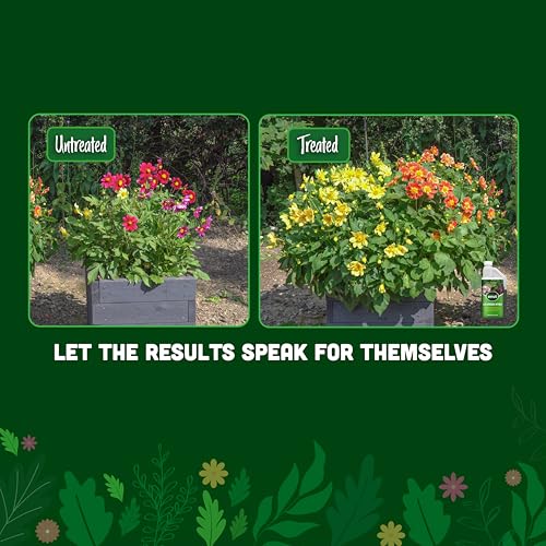 envii SeaFeed Xtra – Organic Seaweed Fertiliser, Liquid Outdoor Plant Food Ideal for all Plants, Lawns, Gardens and House Plants, Rich in Additional Nutrients - 1 Litre Makes up to 500L