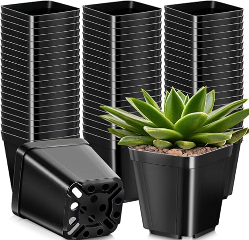 KAHEIGN 10cm Square Plastic Plant Pots – Pack of 50