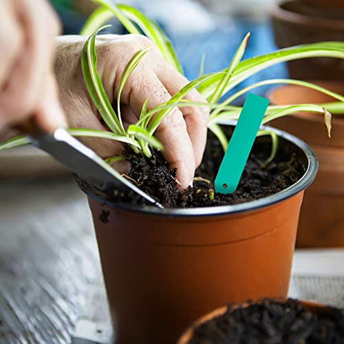 SHEEFLY 100 Pack Plant Nursery Pots 4 inch Plastic Plant Pots, Soft Durable Reusable Seed Starting Pots for Succulents Plants Vegetables Fruits Seedlings Cuttings Transplanting with 100 Plant Labels