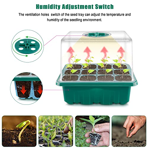 BTONGE Upgrade 5 Set Seed Trays with Grow Light for Plants, Propagator Trays with Heightened Lids, LED Full Spectrum Sunlike White Plant Lights, Germination Seedling Starter Kit-USB Powered