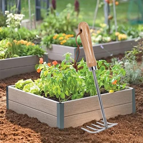 Garden Rake with 5 Steel Tines - Ergonomic Wooden Handle - Ideal for Weeding and Loosening Soil