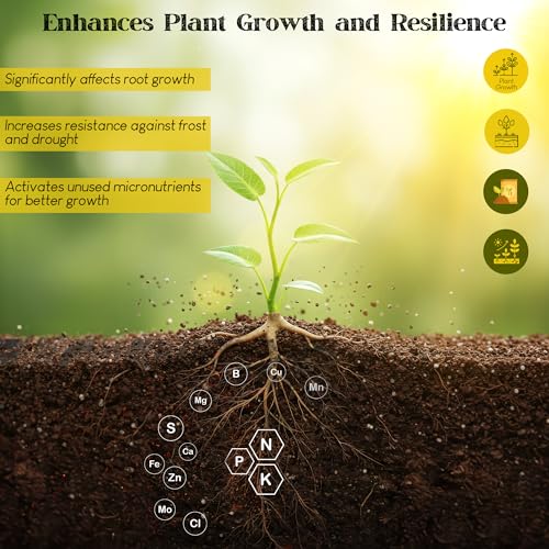 Renaissance Organic Plant Food - All Purpose Fertilizer for Outdoor & Indoor Gardening - Fertiliser Booster for Houseplants, Vegetables, Fruit Trees, Industrial Crops, Legumes | 5.44 kg Bag