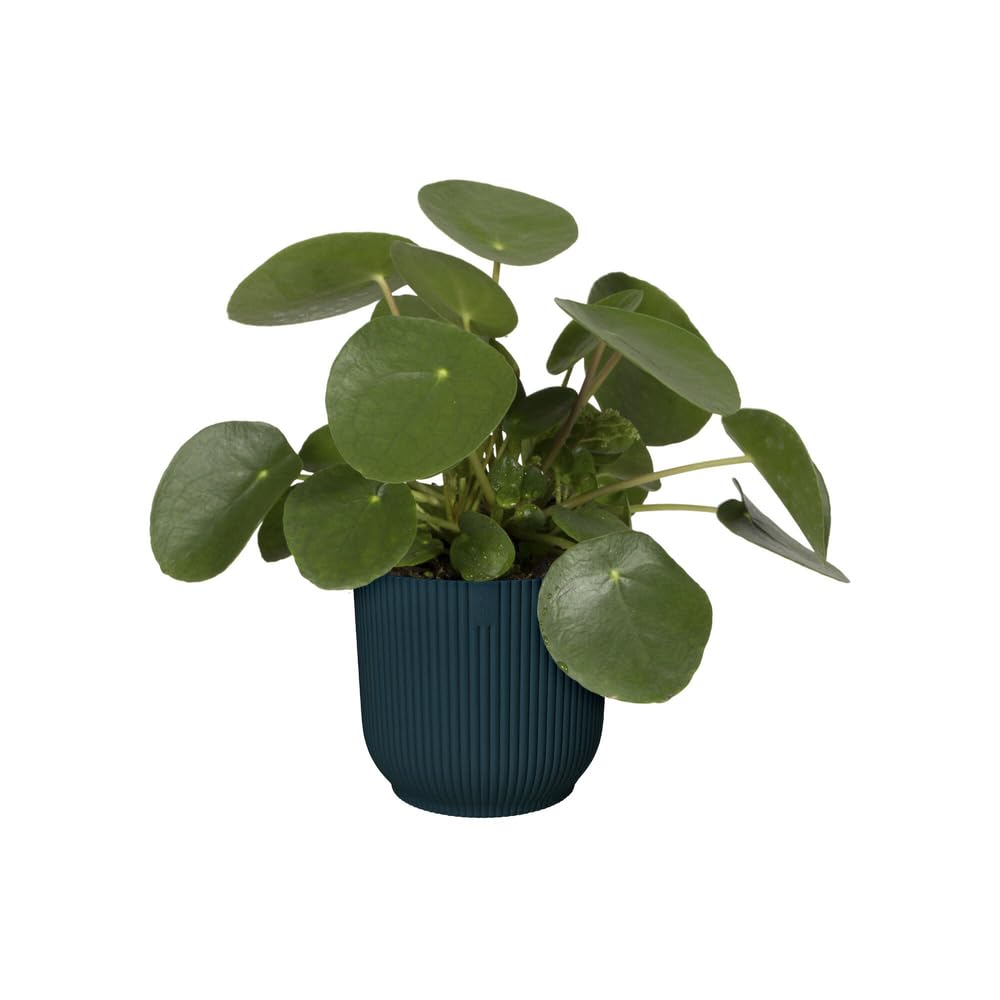 elho Vibes Fold Round 18 - Flower Pot from 100% Recycled Plastic - Indoor plant pot - Ø 18.4 x H 16.8 cm - Blue/Deep Blue