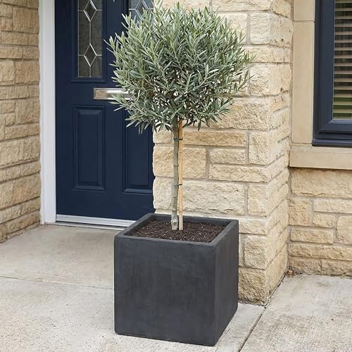 IDEALIST 30cm Square Stone Planter Dark Grey