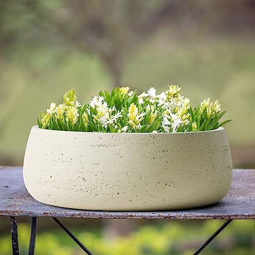 Olly & Rose Ivory Home Decor Ceramic Planter Bowl - Shallow Indoor and Outdoor Plant Pot - Decorative Flower Pot and Garden Bowl (28.5cm)