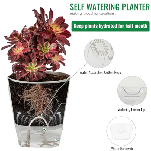 Olrla Self Watering Planter Pots 17cm, Set of 4 plastic planter with Drainage Hole and Deep Reservoir for indoor and outdoor flowers plants planting, 4 colors