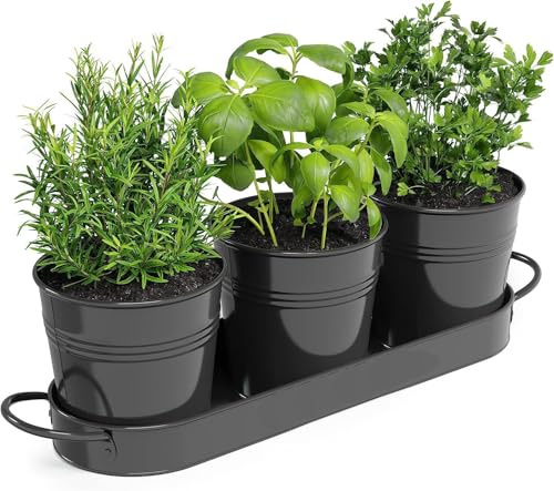 BSTMOME Herb Pot Planter Set with Tray for Indoor Garden Outdoor Use, Decorative Metal Succulent Pots Windowsill Planter Pots Flower Pots for Kitchen Grow (Black)