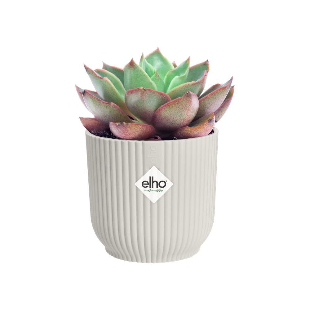 elho Vibes Fold Round Mini 11-100% recyclable Flower Pot - Indoor plant pot - Ø 11.1 x H 10.5 cm - White/Silky White