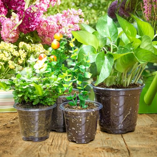 Mactoou 30Pcs Plastic Plant Pots with Repotting Mat, 8.9cm 10.2cm 12.7cm Orchid Pot with Holes, Clear Nursery Pots with 20pcs Plant Labels, 66cm x 66cm PE Planting Mat for Indoor Garden Plants