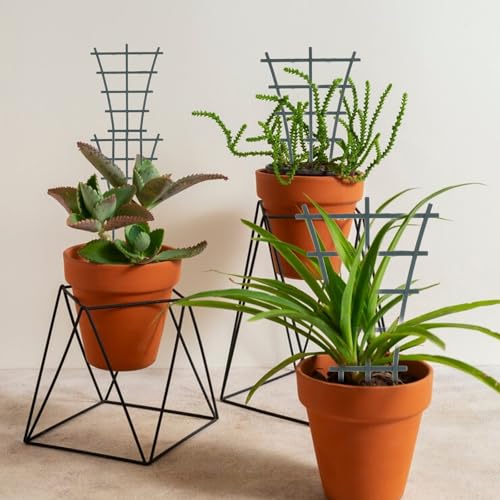 Giantree 4Pcs Plant Trellis Indoor, Trellis for Climbing Plants Indoor, Mini Garden Trellis Small Trellis for Potted Plants, Trellis for Potted Plant Ladder for Houseplant Vine Support Outdoor