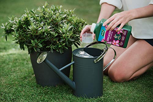 Westland Ericaceous High Performance Liquid Plant Food 1 Litre, Green