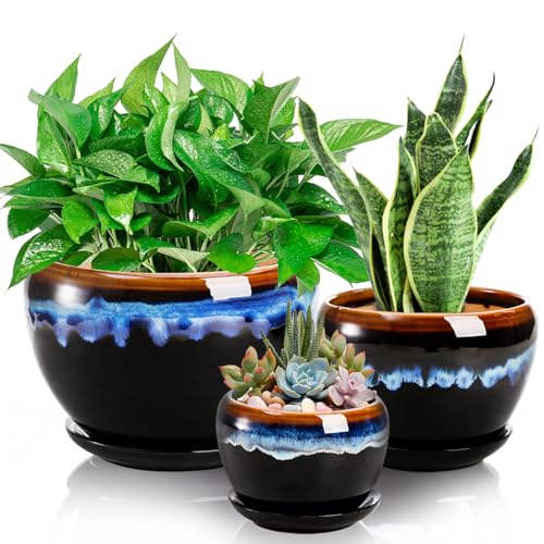AVLA Ceramic Plant Pots Set of 3 with Saucers
